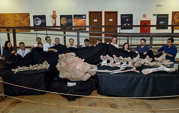 Fósseis de dinossauros achados em Uberaba foram apresentados em 2018 