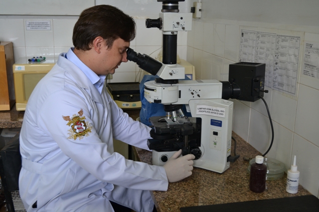 Ferreira-Paim desenvolveu a parte experimental do estudo como bolsista de pós-doutorado da Capes